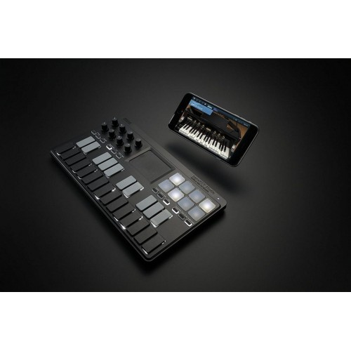 MINI CONTROLADOR MIDI KORG, MOVIL, 25 TECLAS ILUMINADAS, 8 PADS, 8